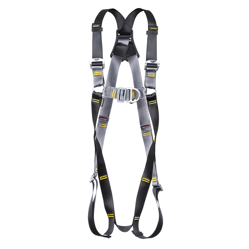 RGH2 FRONT and REAR D HARNESS
